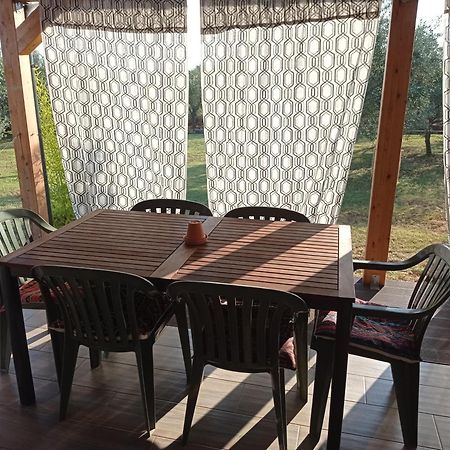Nature Home Eco-Friendly Pet-Friendly Fazana Exterior photo