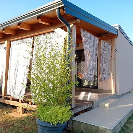 Nature Home Eco-Friendly Pet-Friendly Fazana Exterior photo